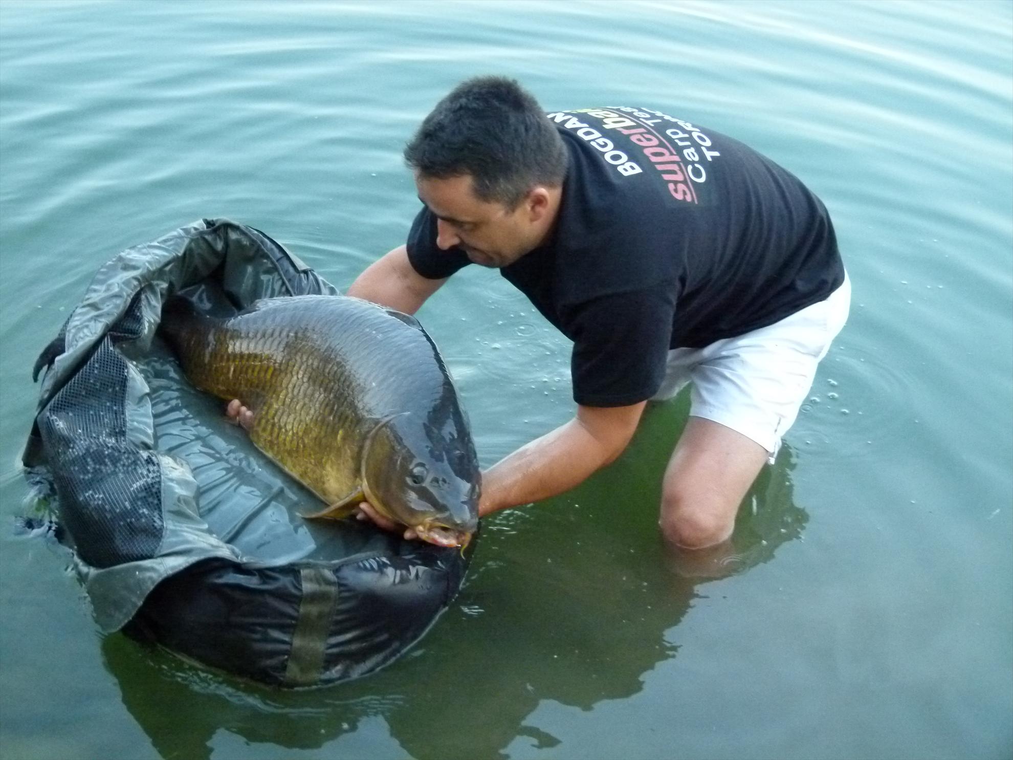 THE BIGS OF 2012 - p1000057.JPG